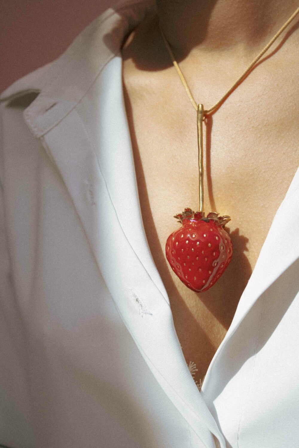 Germinazione Fragola - immagine 3