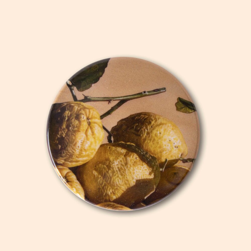calamita limoni giuseppe carta